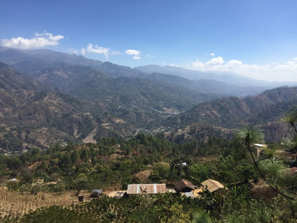 Três Marias Coffee - Guatemala La Ceiba - Tres Marias Coffee Company