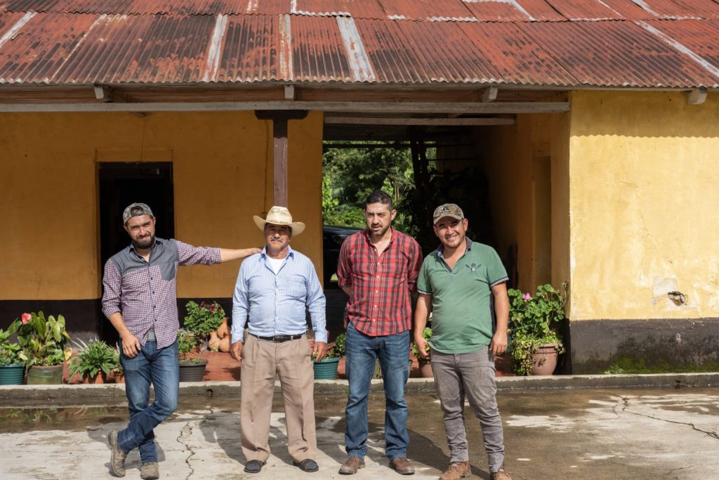Três Marias Coffee - Guatemala La Ceiba - Tres Marias Coffee Company