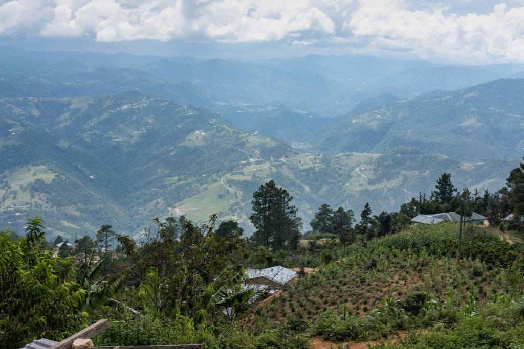 Três Marias Coffee - Guatemala La Ceiba - Tres Marias Coffee Company