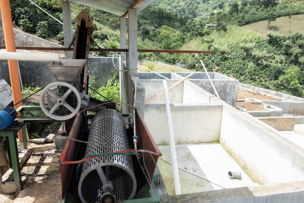Três Marias Coffee - Guatemala La Ceiba - Tres Marias Coffee Company