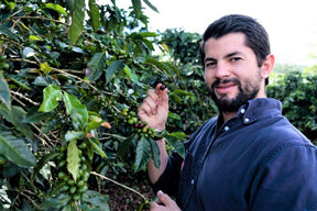 Três Marias Coffee - Costa Rica - Aquiares Esperanza - Anaerobic Natural - Tres Marias Coffee Company 
