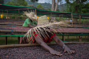 Três Marias Coffee - Ethiopia - Bombe Natural - Tres Marias Coffee Company 