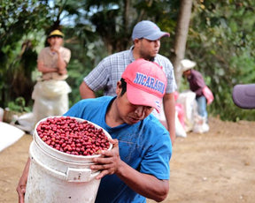 Três Marias Coffee - Nicaragua Santa Teresa de Mogoton Natural - Tres Marias Coffee Company 