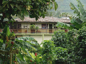Três Marias Coffee - Colombia La Guamera Honey - Tres Marias Coffee Company 